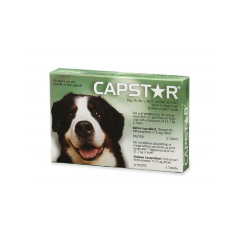 Capstar Cat& Small Dog 6’S