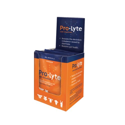 Pro-Lyte + Glutamine (10X20g) Sachets