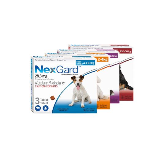 Nexgard  Chewable 10.1-25Kg